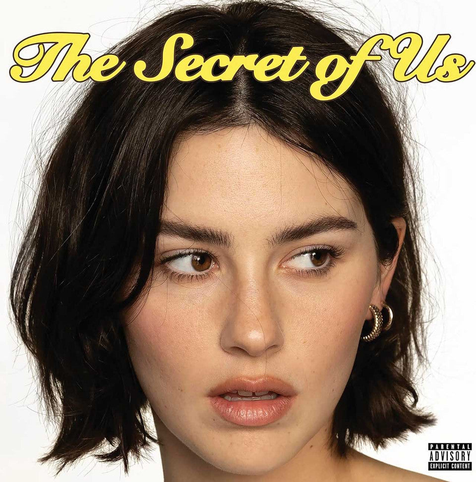 the secret of us vinyl record